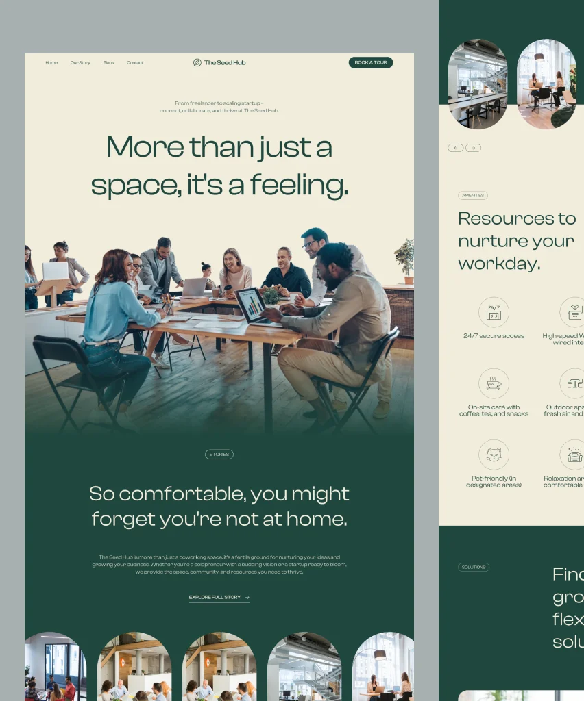 The Seed Hub Website